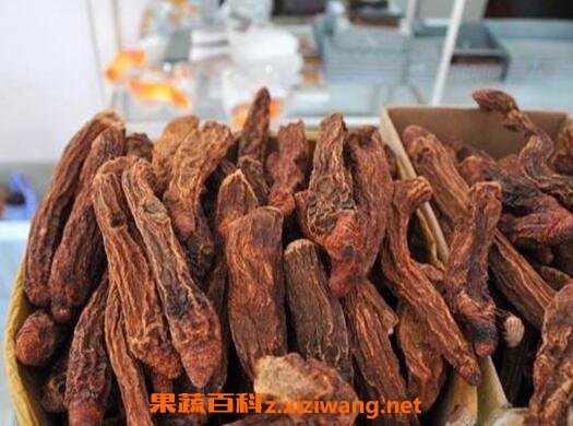 锁阳怎么吃效果最好 干锁阳怎么吃效果最好