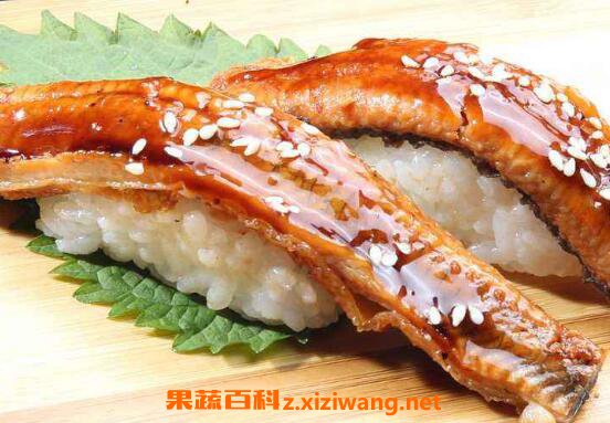 长江鳗鱼功效与作用