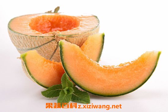 选购哈密</div>
  </mip-showmore>
<div on=