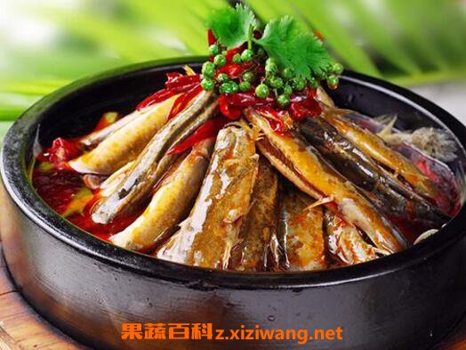 泥鳅的药用价值与功效作用