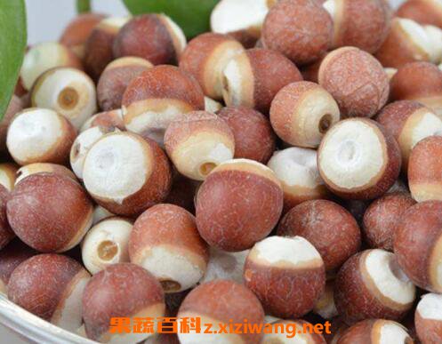 芡实米的功效与作用及药用价值