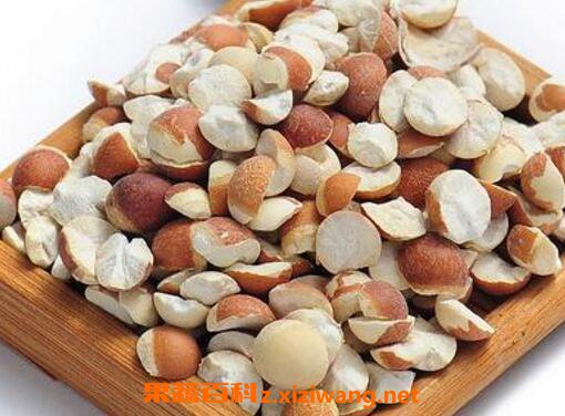 鸡头米的功效与作用