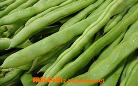 四季豆功效