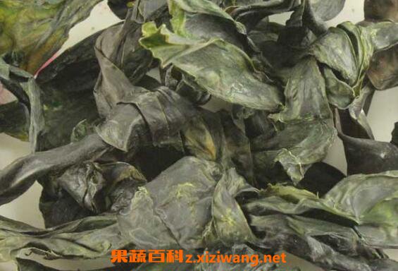 昆布的功效与作用及禁忌