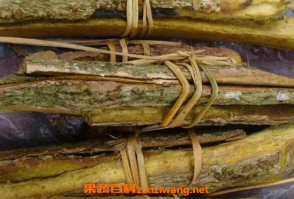 木蝴蝶树皮的功效与作用