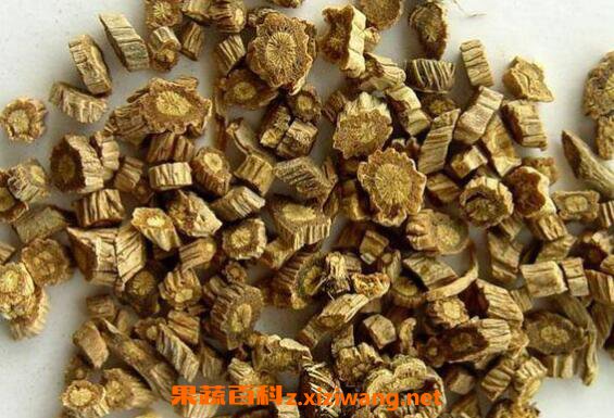 防风的功效与作用及药用价值