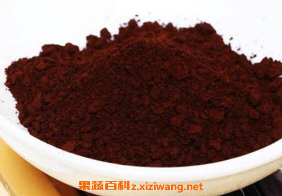 灵芝破壁孢子粉的功效与作用