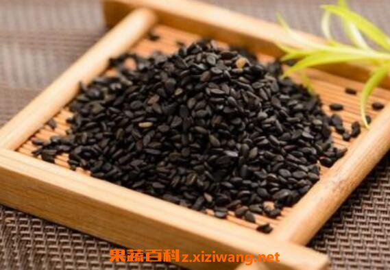 黑芝麻怎么吃治脱发 黑芝麻怎么吃治白发