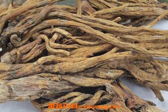 秦艽的功效与作用