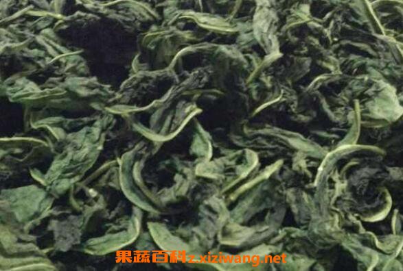 南非叶的功效与作用及食用方法