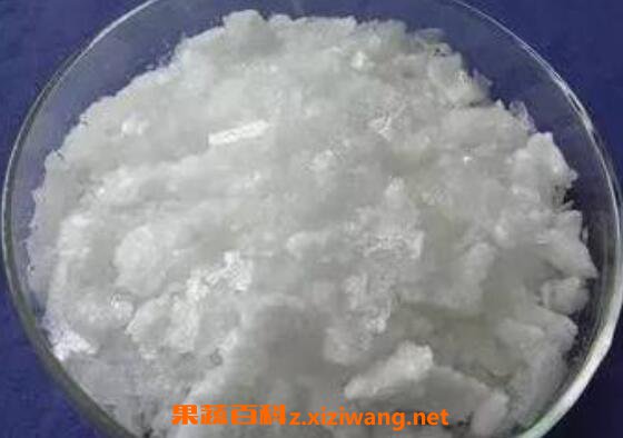 冰片的功效与作用及药用价值</div>
<div class=