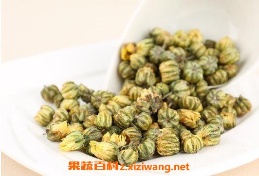 胎菊花茶怎么泡 胎菊花茶的功效