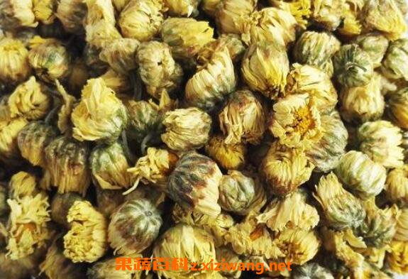 菊花能泡功夫茶吗 菊花茶怎么泡最好喝
