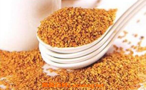 黄苦荞茶的功效与作用 黄苦荞能减肥吗