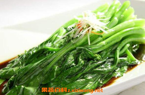 广东菜心的营养价值 广东菜心的做法