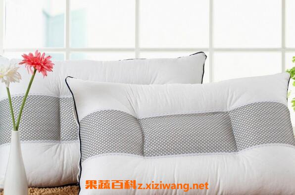 荞麦枕头的功效与作用