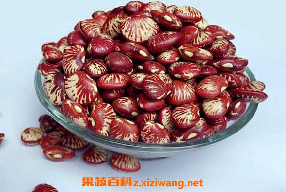 花豆的功效与作用