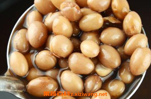 雀蛋豆的功效与作用