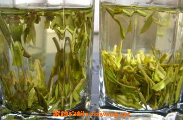 龙井泡多久喝 龙井冲泡的正确方法