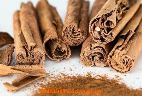 桂皮精油的功效与作用