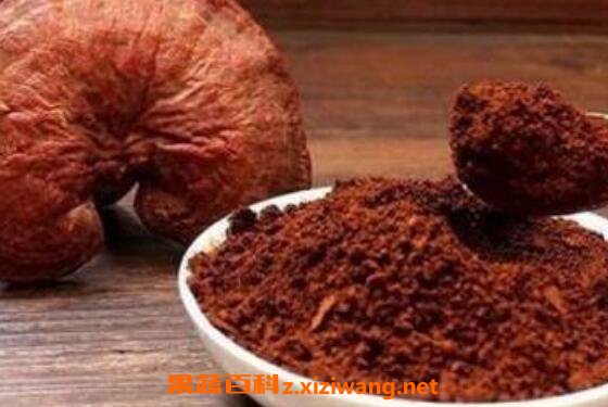 灵芝破壁孢子粉的功效