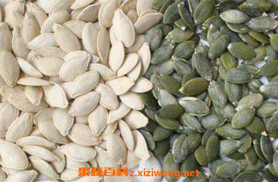 熟南瓜子的作用和功效