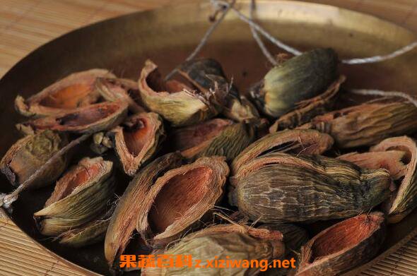 大腹皮的功效与作用及食用方法
