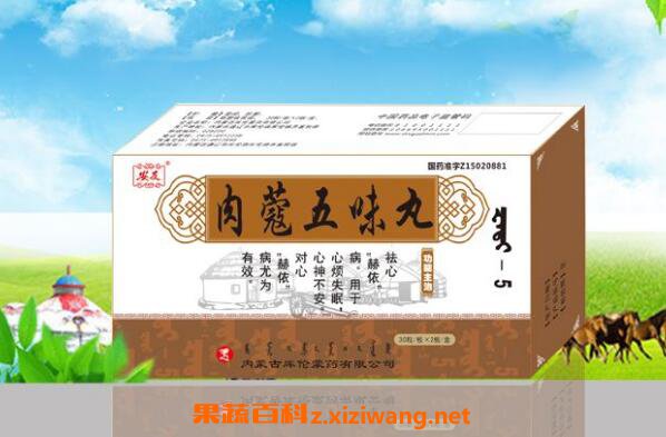 肉蔻五味丸的功效与作用