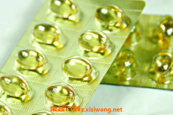 松针油的功效与作用