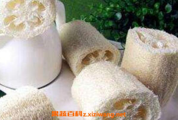 老丝瓜络煮水喝的功效 丝瓜瓤煮水喝的功效