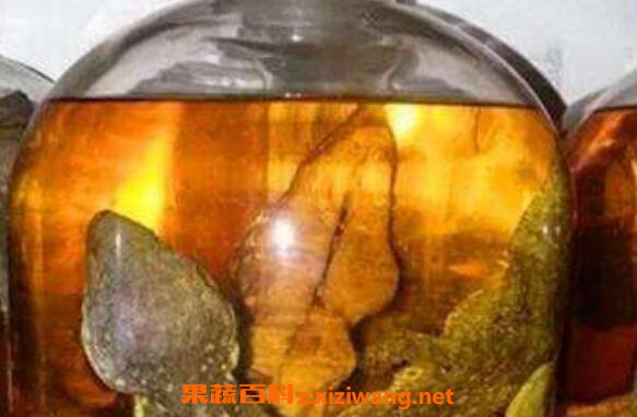 人参蛤蚧酒的功</div>
  </mip-showmore>
<div on=