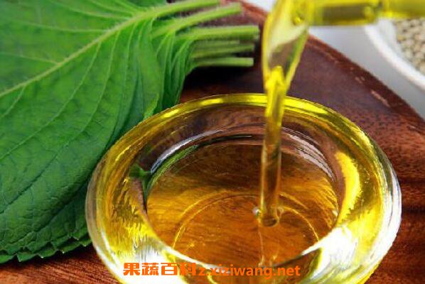 紫苏籽油的功效与作用 吃紫苏籽油的好处