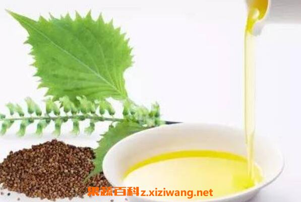 紫苏籽油的功效与作用 吃紫苏籽油的好处
