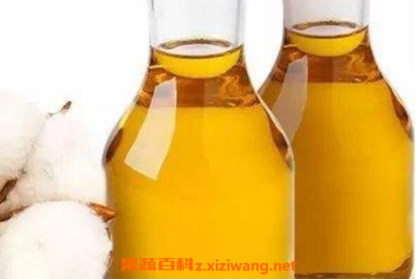 红花籽油的功效与作用