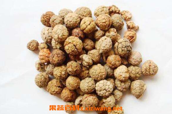 草豆蔻与草果仁的区别