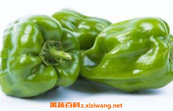 青椒的功效与作用有哪些