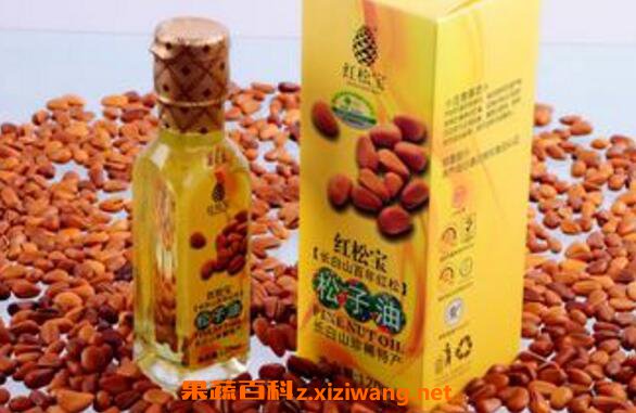 松子油的功效与作用 松籽油的药用价值