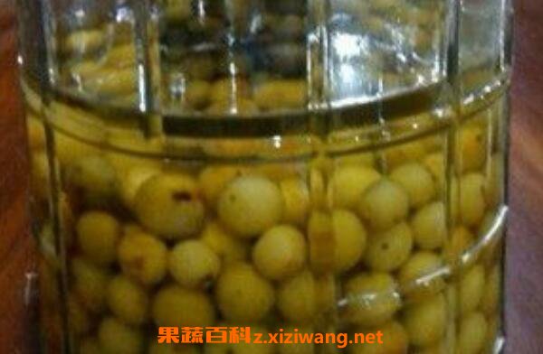 橄榄泡酒的功效与作用