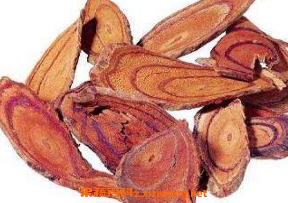 血木通的功效和作用