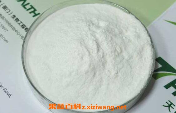 胶原蛋白的功效与作用及禁忌