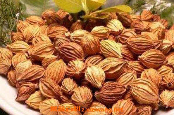 砂仁泡蜂蜜的作用与功效