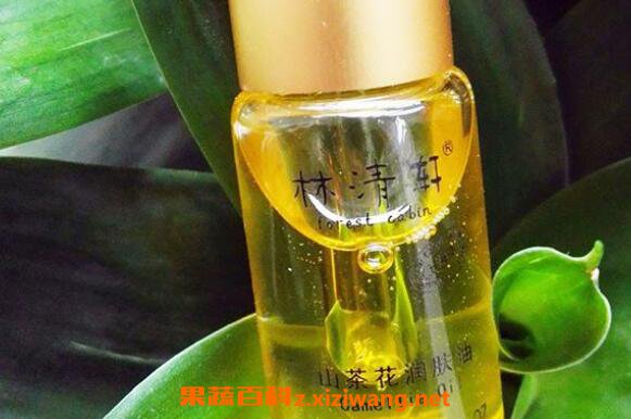 山茶花油对皮肤的作用 山茶花润肤油真的好吗