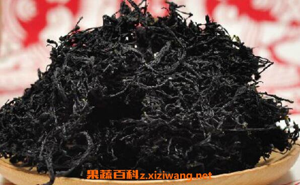 假紫菜和真紫菜的区别