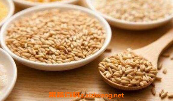 野麦子怎么吃 野麦子止虚汗的服法
