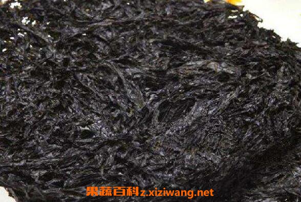女人吃紫菜有什么好处 女人吃紫菜的危害