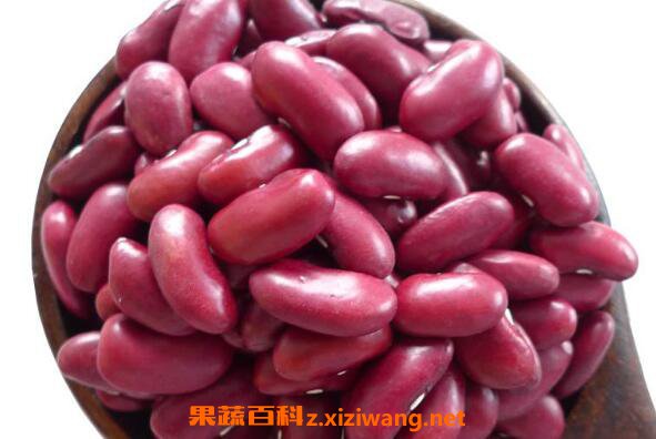 红芸豆和红</div>
<div class=