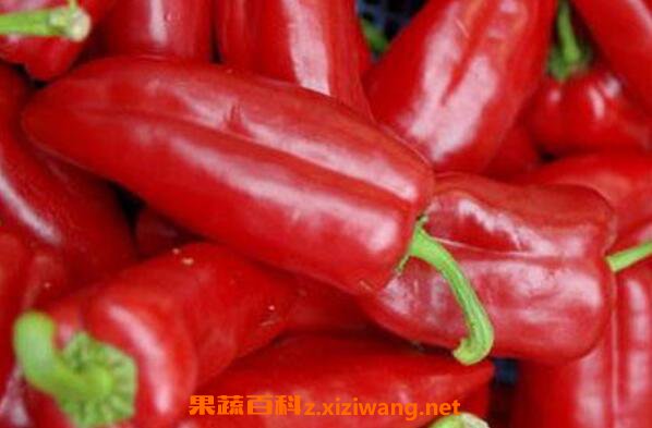 红青椒的营养价值 吃红青椒的好处