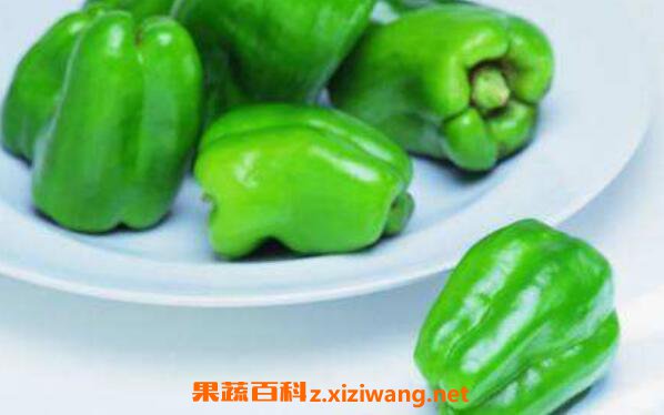 青椒生吃的功效与作用 青椒的禁忌