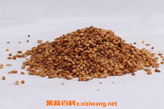 柏子仁与松子仁的区别 柏子仁的功效与作用