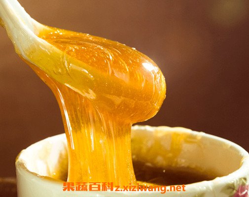 麦芽糖
